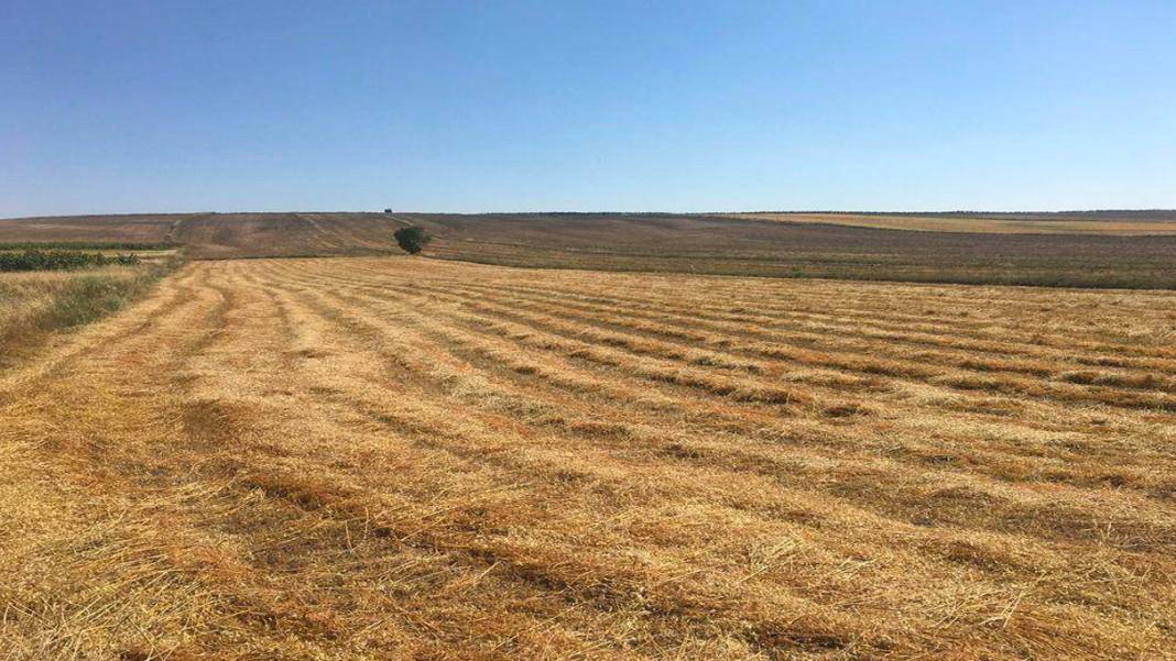 TOKİ'den vergisiz merkezi yerde arsa fırsatı! 200 bin lirası olan tapuyu alacak 1